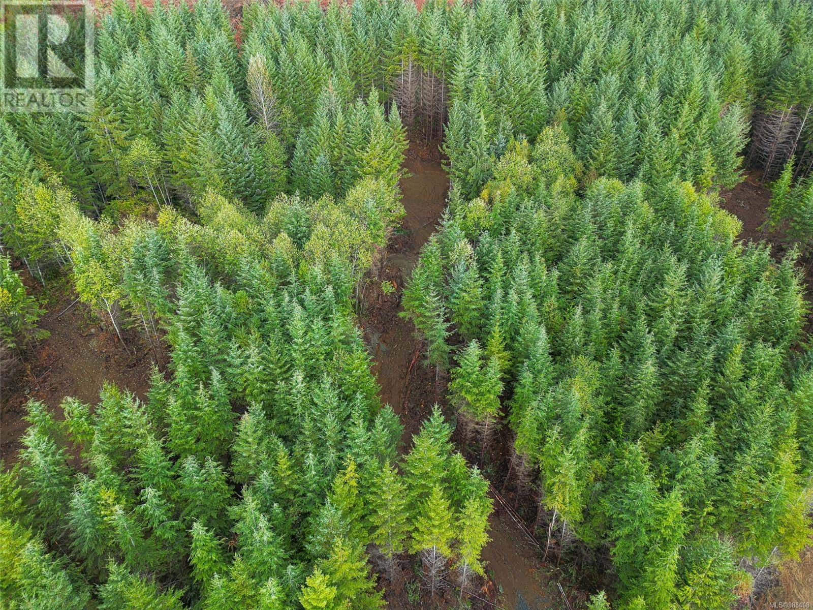 12140 Creekside Glen — Sooke, British Columbia - Photo 2 of 19