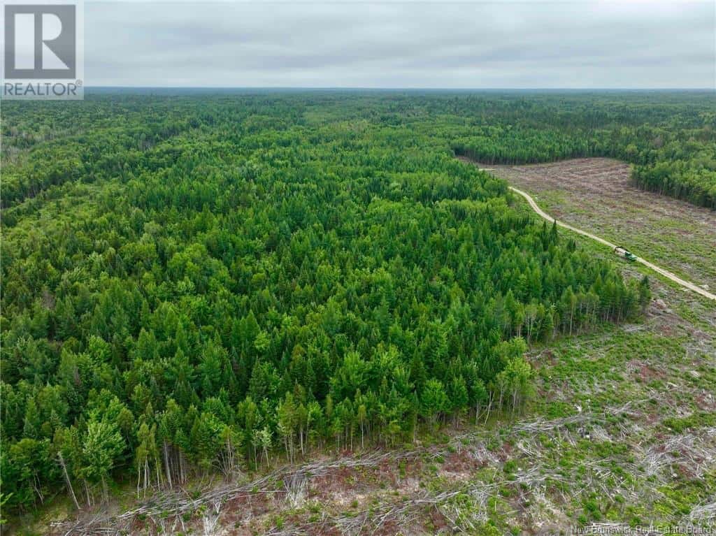 51.4 HEC Route 108 — Renous, New Brunswick - Photo 2 of 9