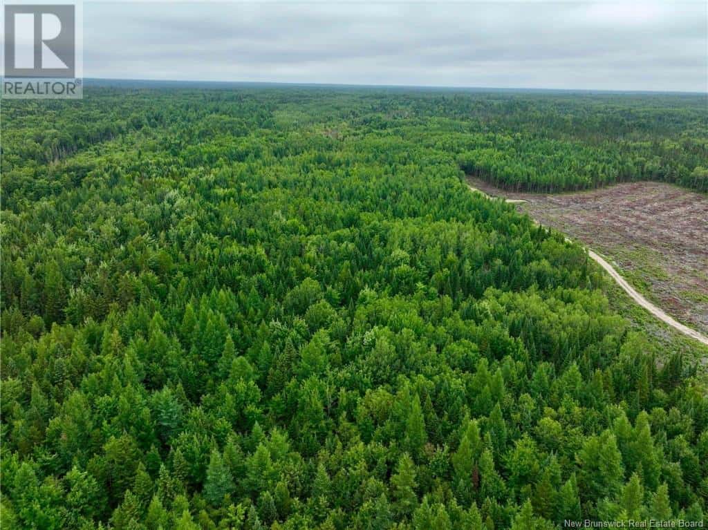 51.4 HEC Route 108 — Renous, New Brunswick - Photo 3 of 9