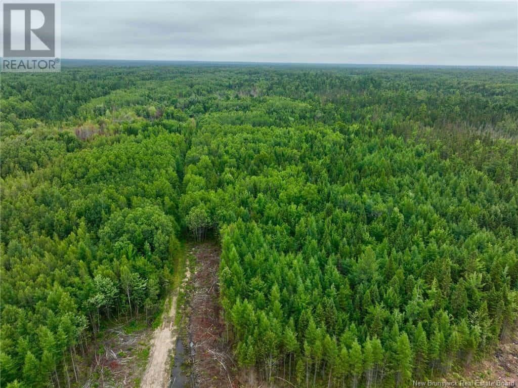 51.4 HEC Route 108 — Renous, New Brunswick - Photo 4 of 9