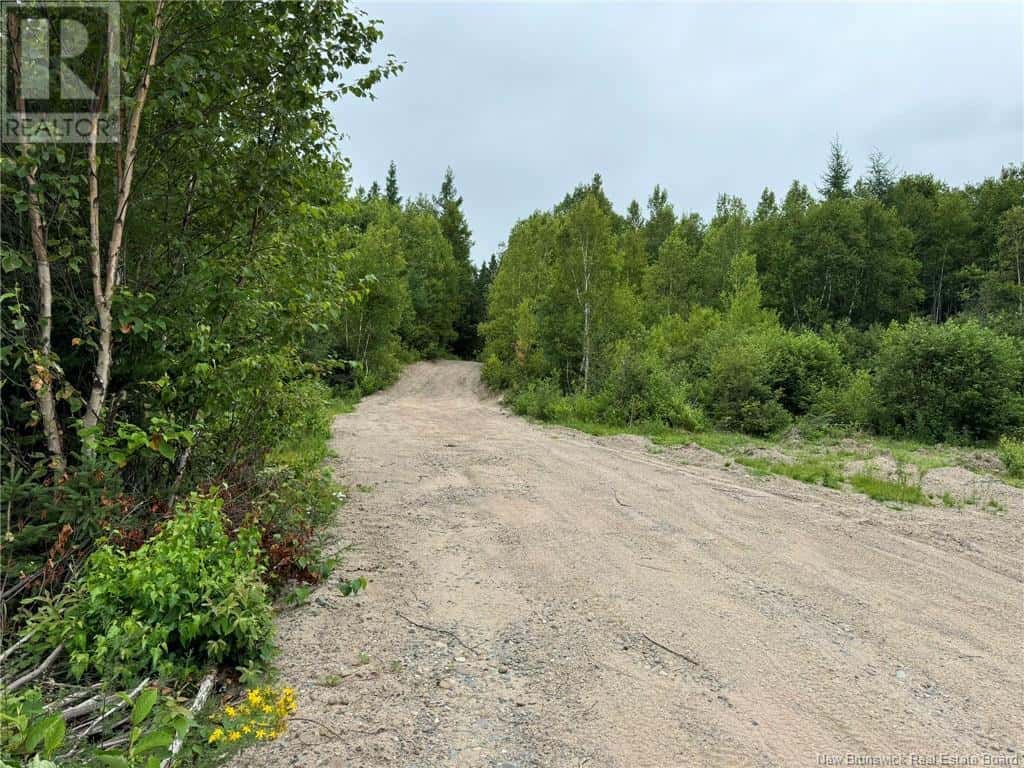 51.4 HEC Route 108 — Renous, New Brunswick - Photo 5 of 9