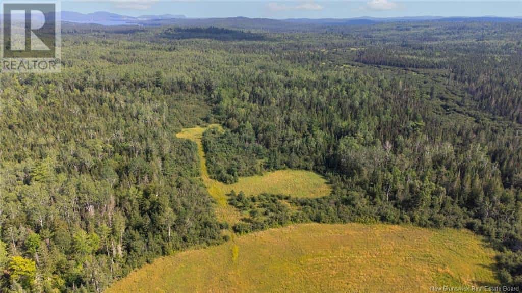 000 Route 170 — Oak Bay, New Brunswick - Photo 5 of 17