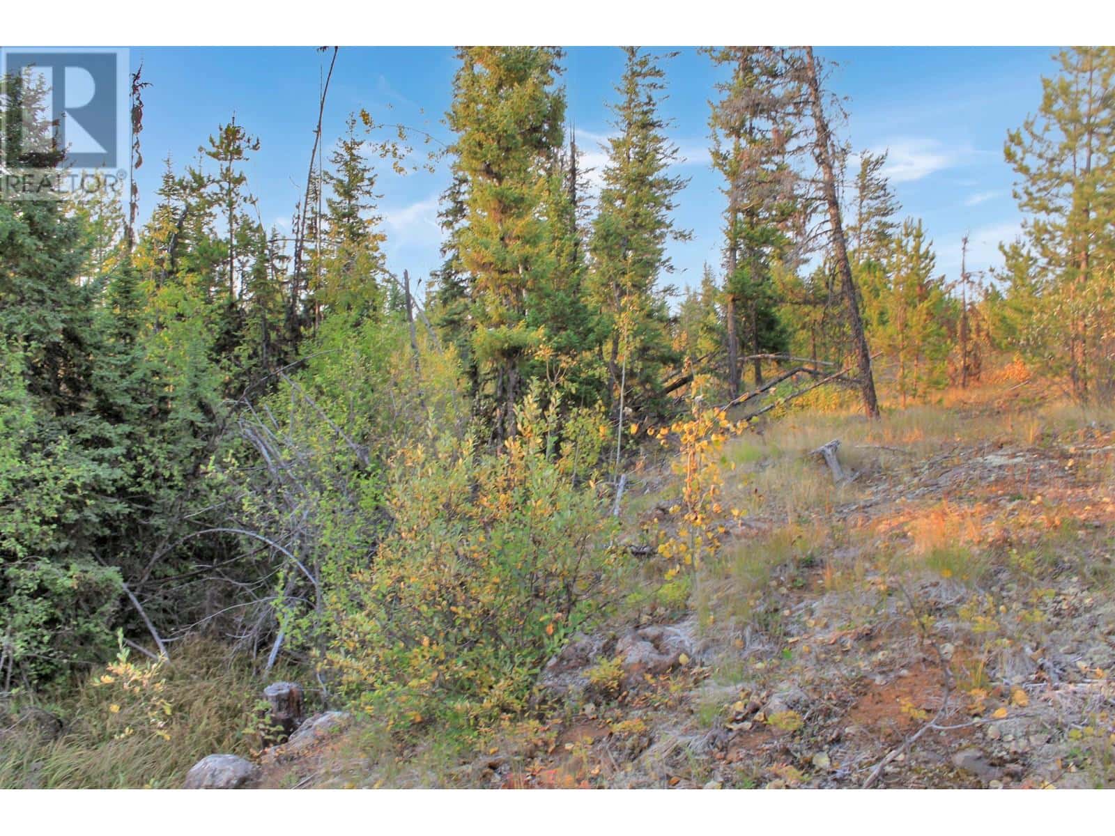 PROP LOT 32 BROWN ROAD — Bridge Lake, British Columbia - Photo 4 of 32