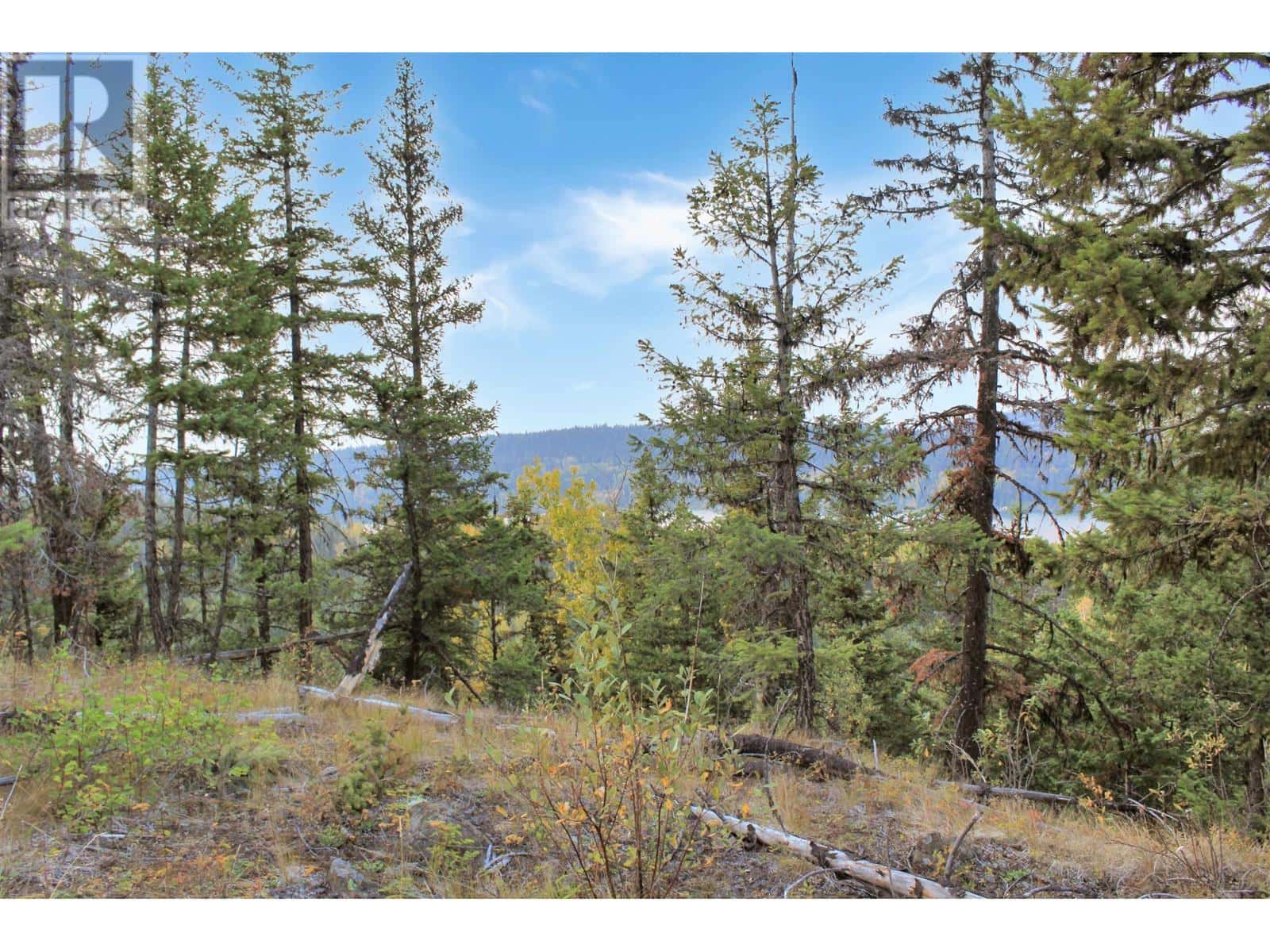 PROP LOT 32 BROWN ROAD — Bridge Lake, British Columbia - Photo 2 of 32