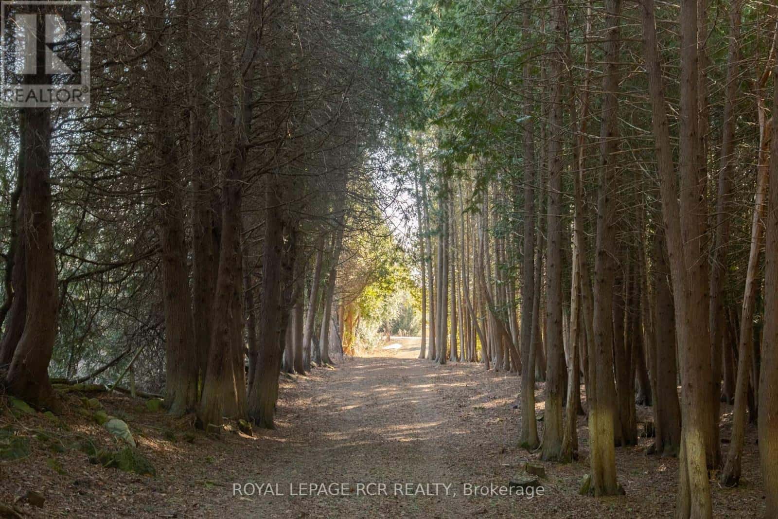 5163 FOURTH LINE — Erin, Ontario - Photo 2 of 12