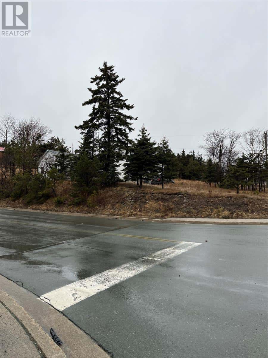 1566 Topsail Road — Paradise, Newfoundland & Labrador - Photo 3 of 7