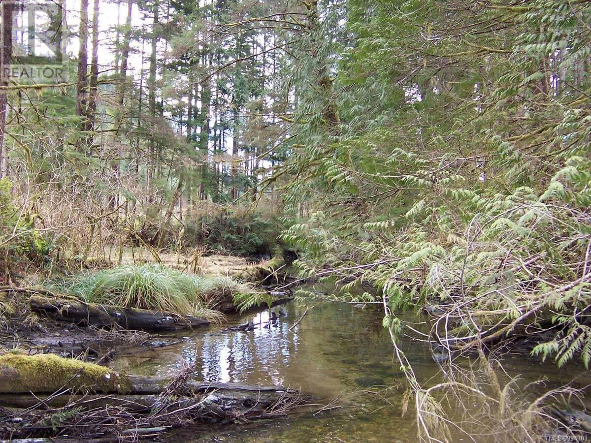 DL 704 Bessborough Bay — Kelsey Bay, British Columbia - Photo 5 of 16