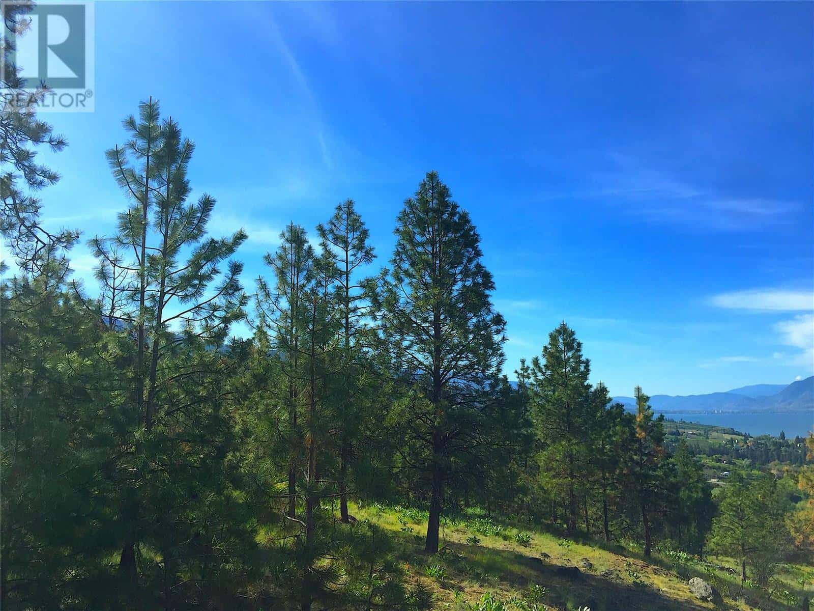 4650 North Naramata Road Unit# 9 — Naramata, British Columbia - Photo 4 of 9