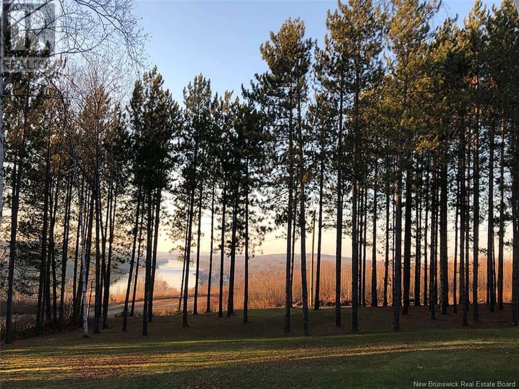 , Florenceville-Bristol, — Florenceville-Bristol - Photo 4 of 40