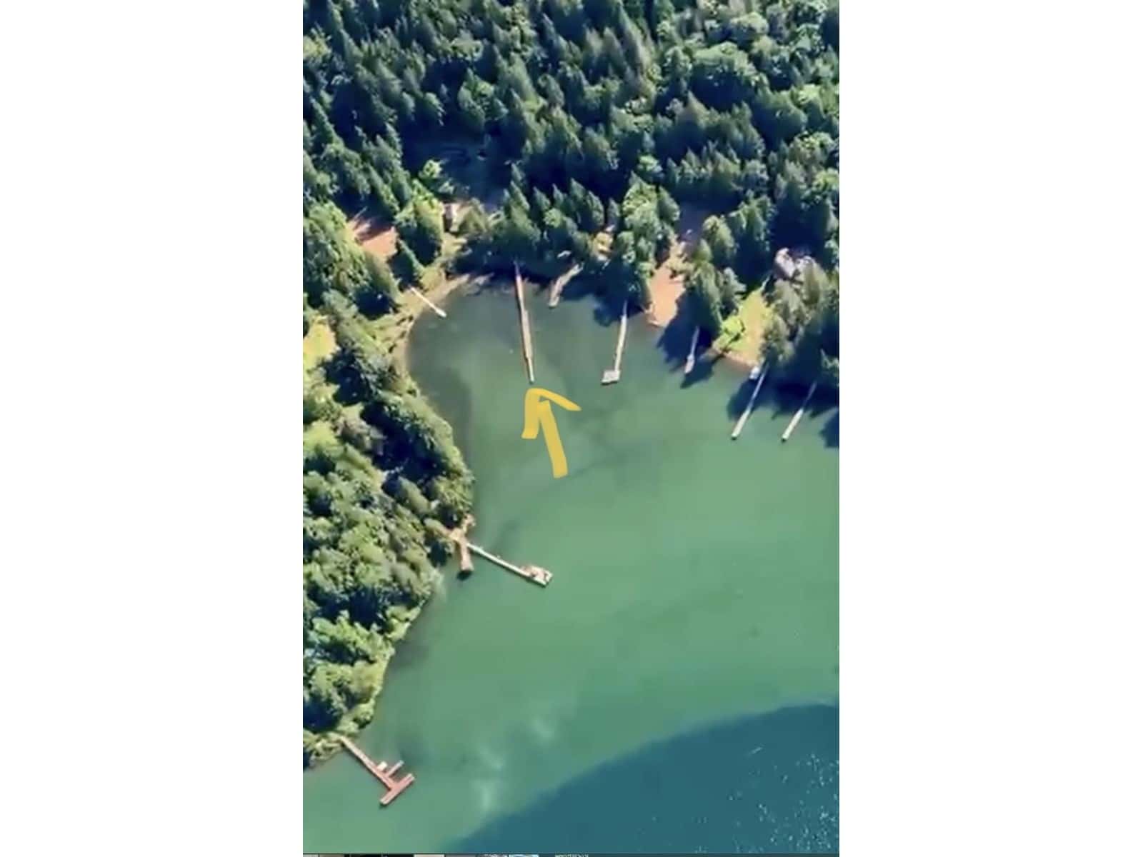 LOT 3 HARRISON RIVER, Mt Woodside — Harrison Hot Springs, British Columbia - Photo 2 of 29