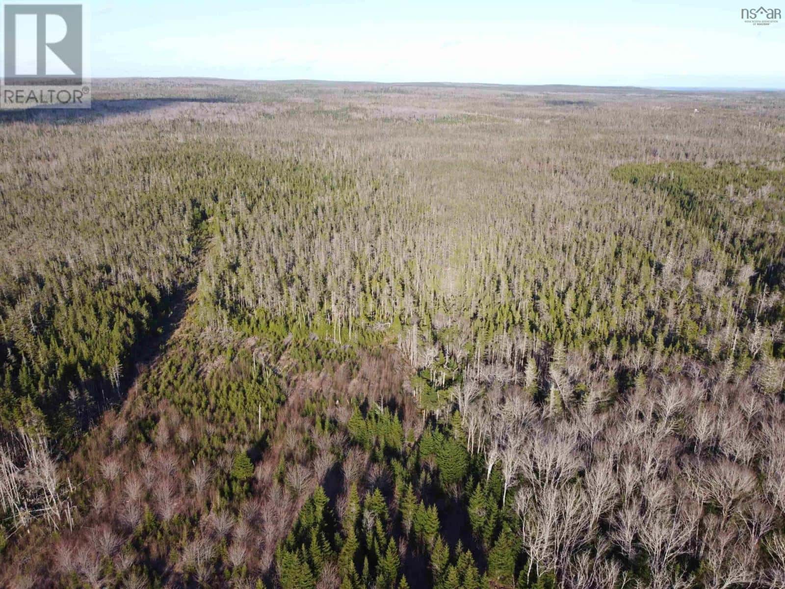 , Sheet Harbour, — Sheet Harbour - Photo 4 of 12