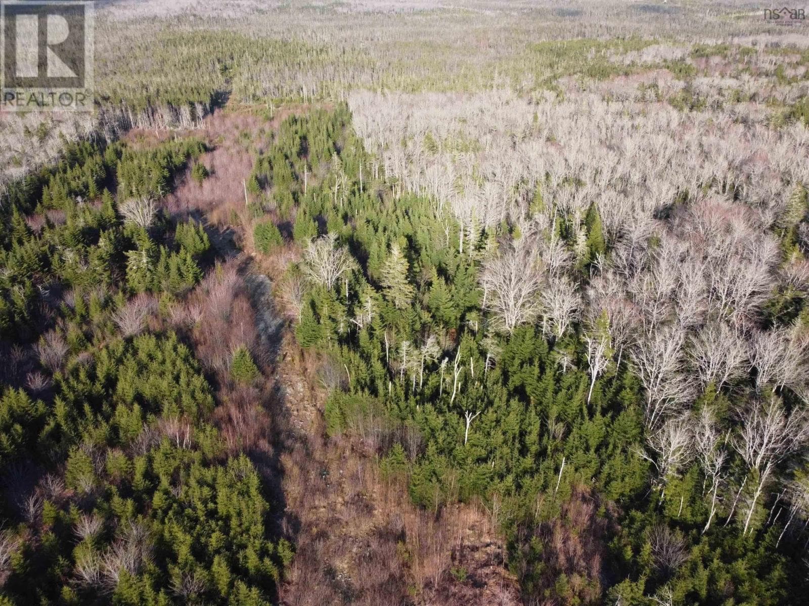 , Sheet Harbour, — Sheet Harbour - Main photo