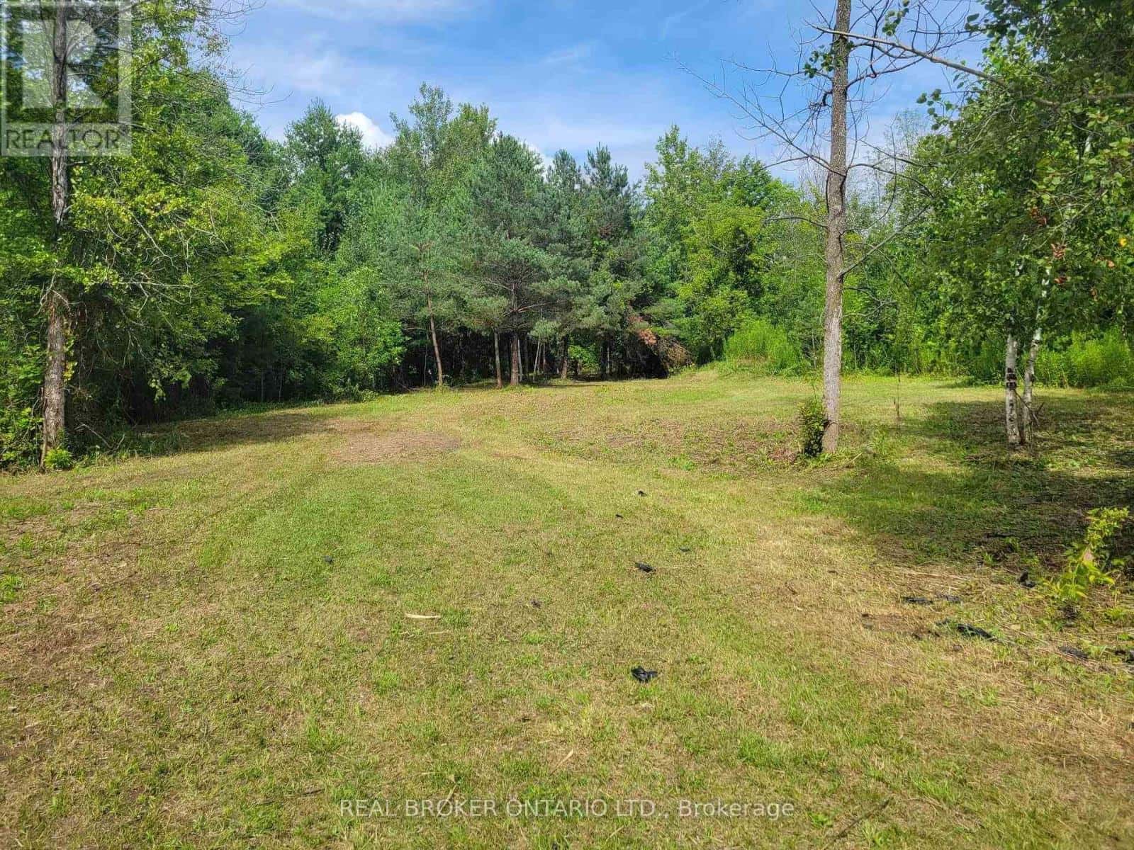 0 AUTUMN ROAD — Trent Hills (Warkworth), Ontario - Photo 4 of 7