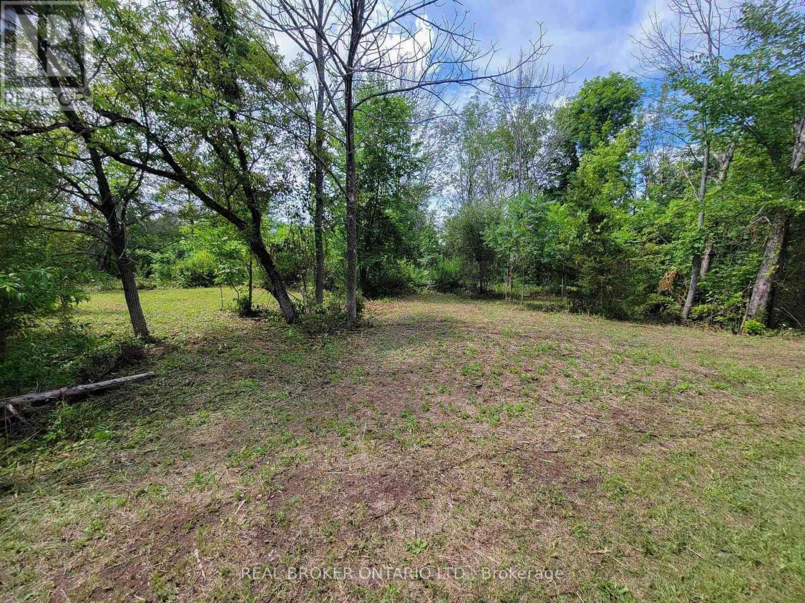 0 AUTUMN ROAD — Trent Hills (Warkworth), Ontario - Photo 5 of 7