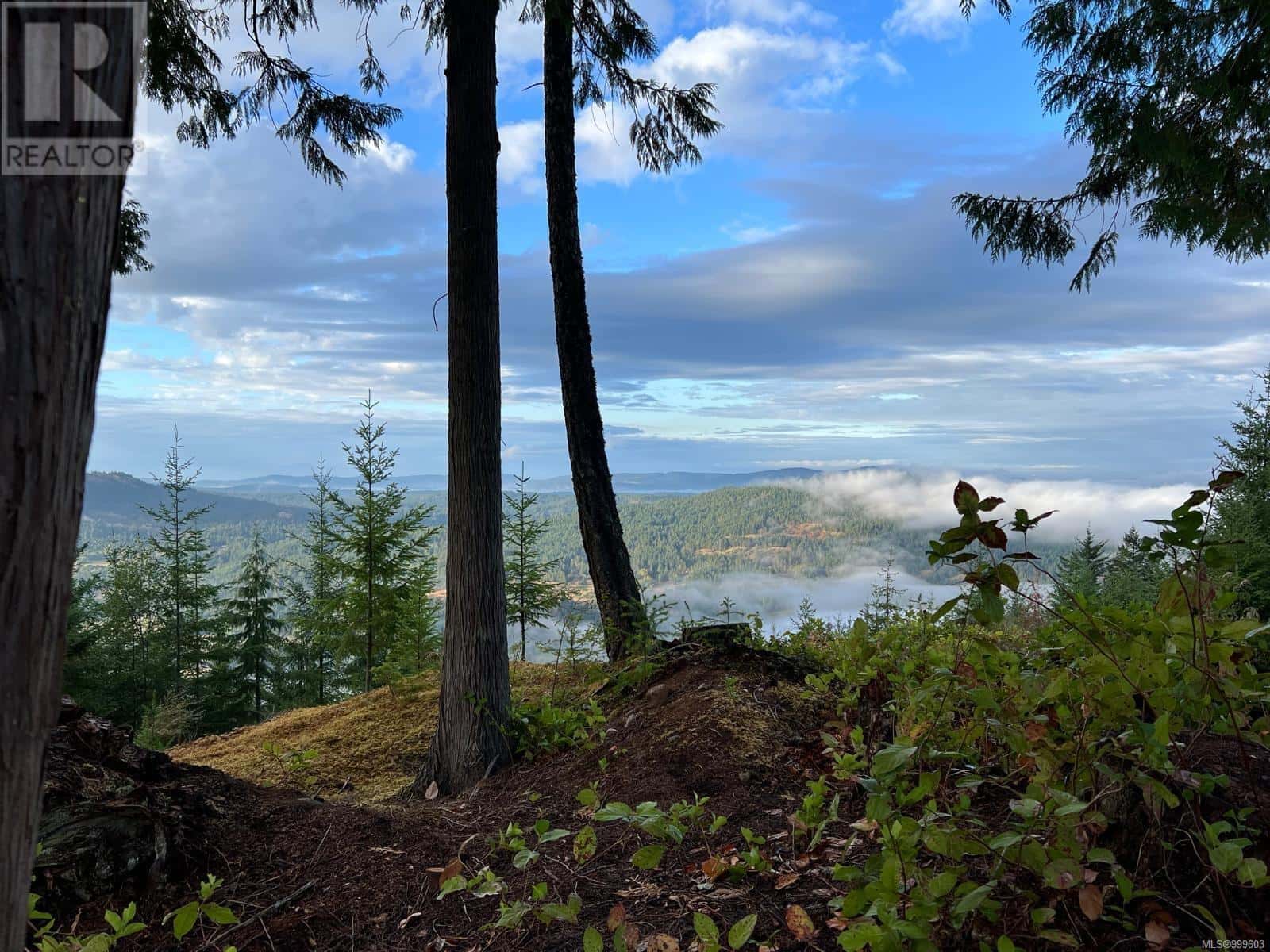 , Salt Spring, — Salt Spring - Photo 3 of 62