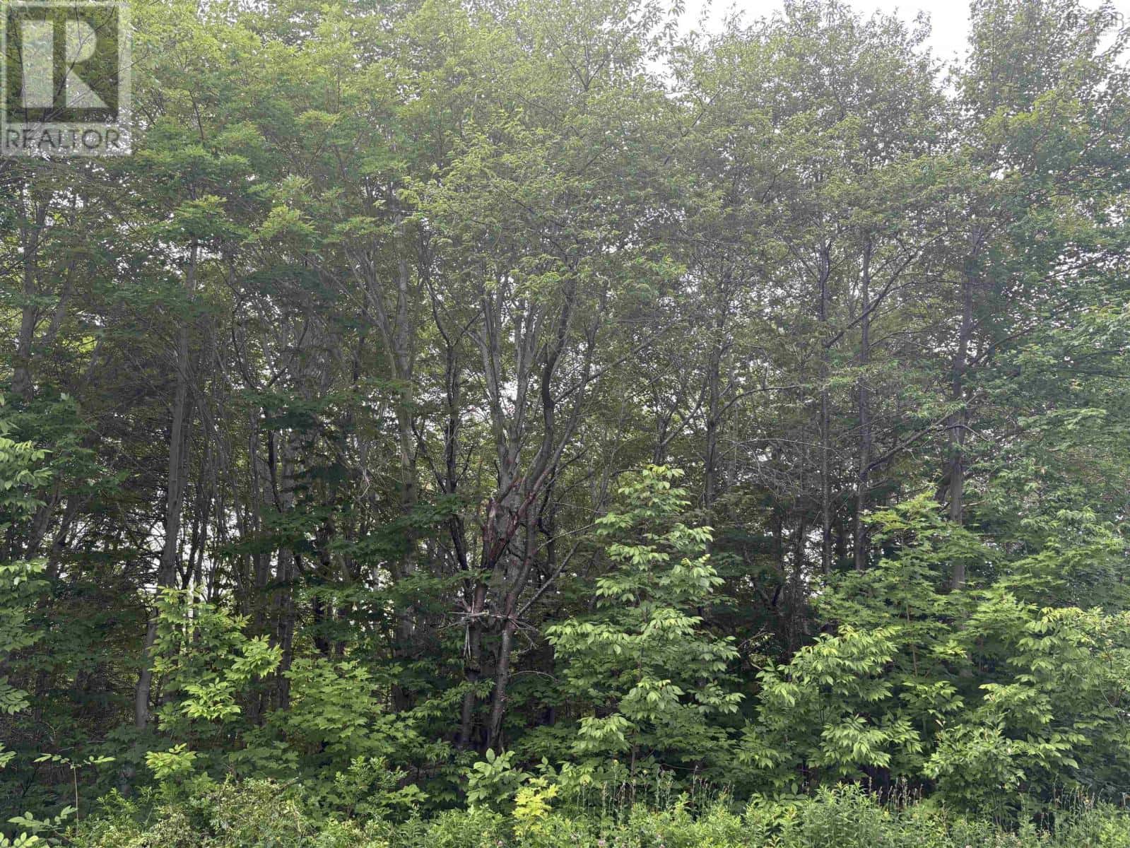 , East Lake Ainslie, — East Lake Ainslie - Photo 3 of 10