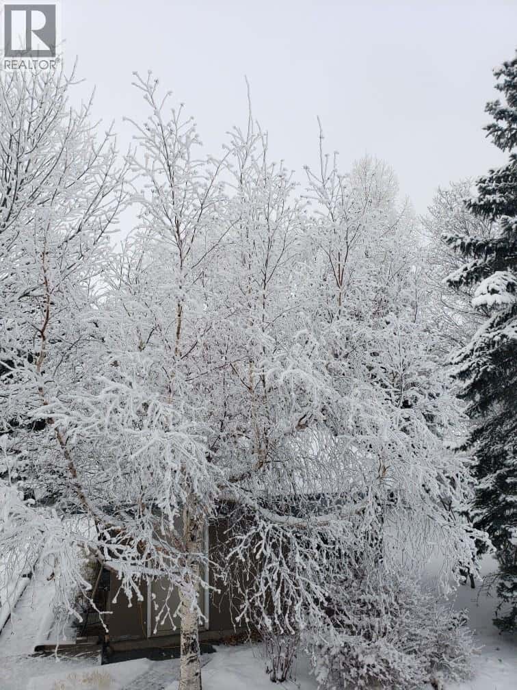 , Fort St. John, British Columbia — Fort St. John, British Columbia - Photo 2 of 80