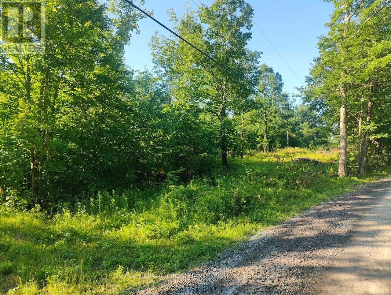 , Marmora and Lake (Marmora Ward), Ontario — Marmora and Lake (Marmora Ward), Ontario - Photo 3 of 14