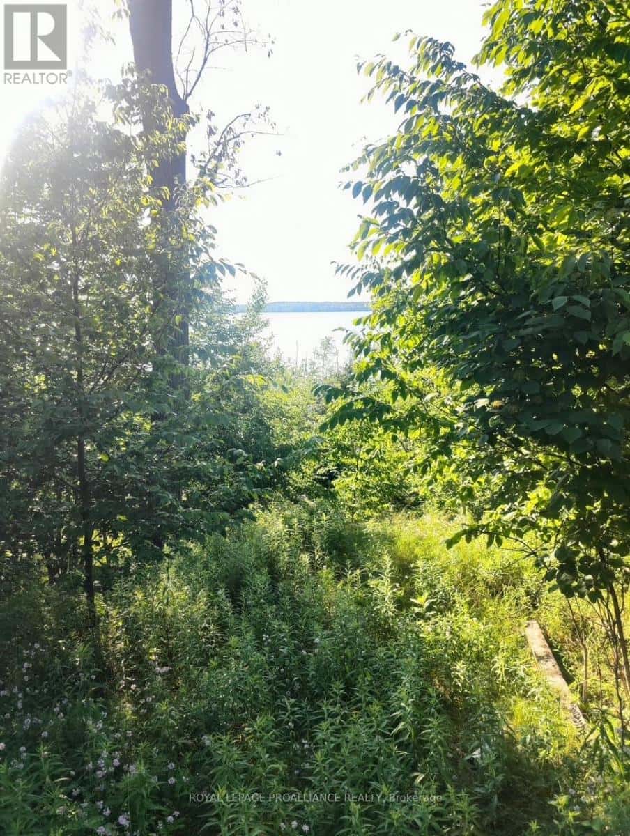 , Marmora and Lake (Marmora Ward), — Marmora and Lake (Marmora Ward) - Photo 5 of 14