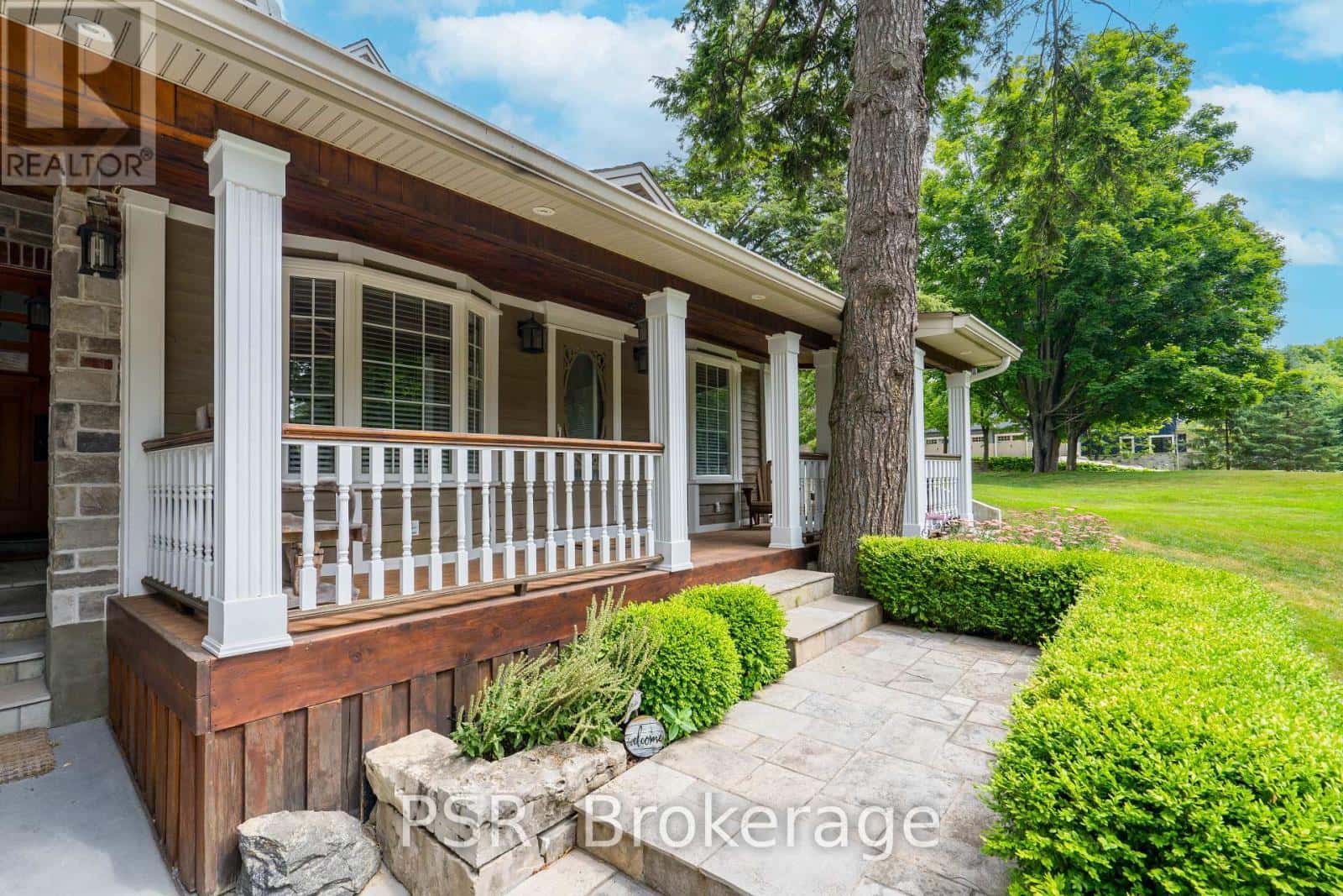 , King, — King - Photo 5 of 84