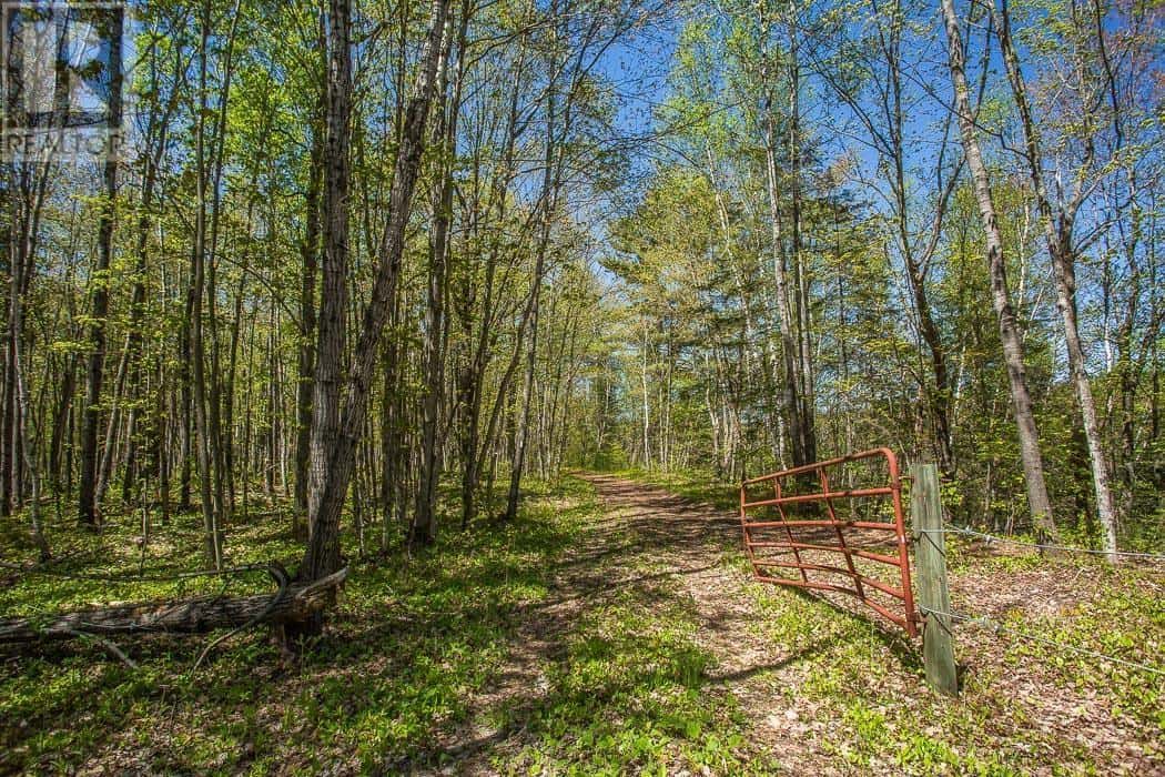 , Iron Bridge, Ontario — Iron Bridge, Ontario - Photo 4 of 100