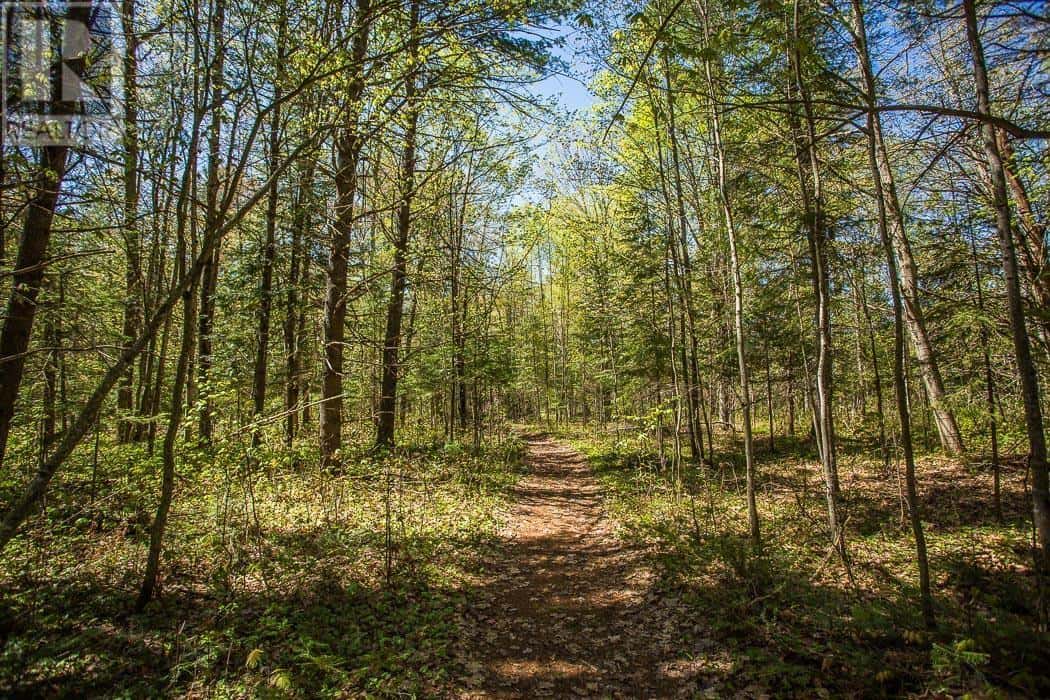 , Iron Bridge, Ontario — Iron Bridge, Ontario - Photo 5 of 100