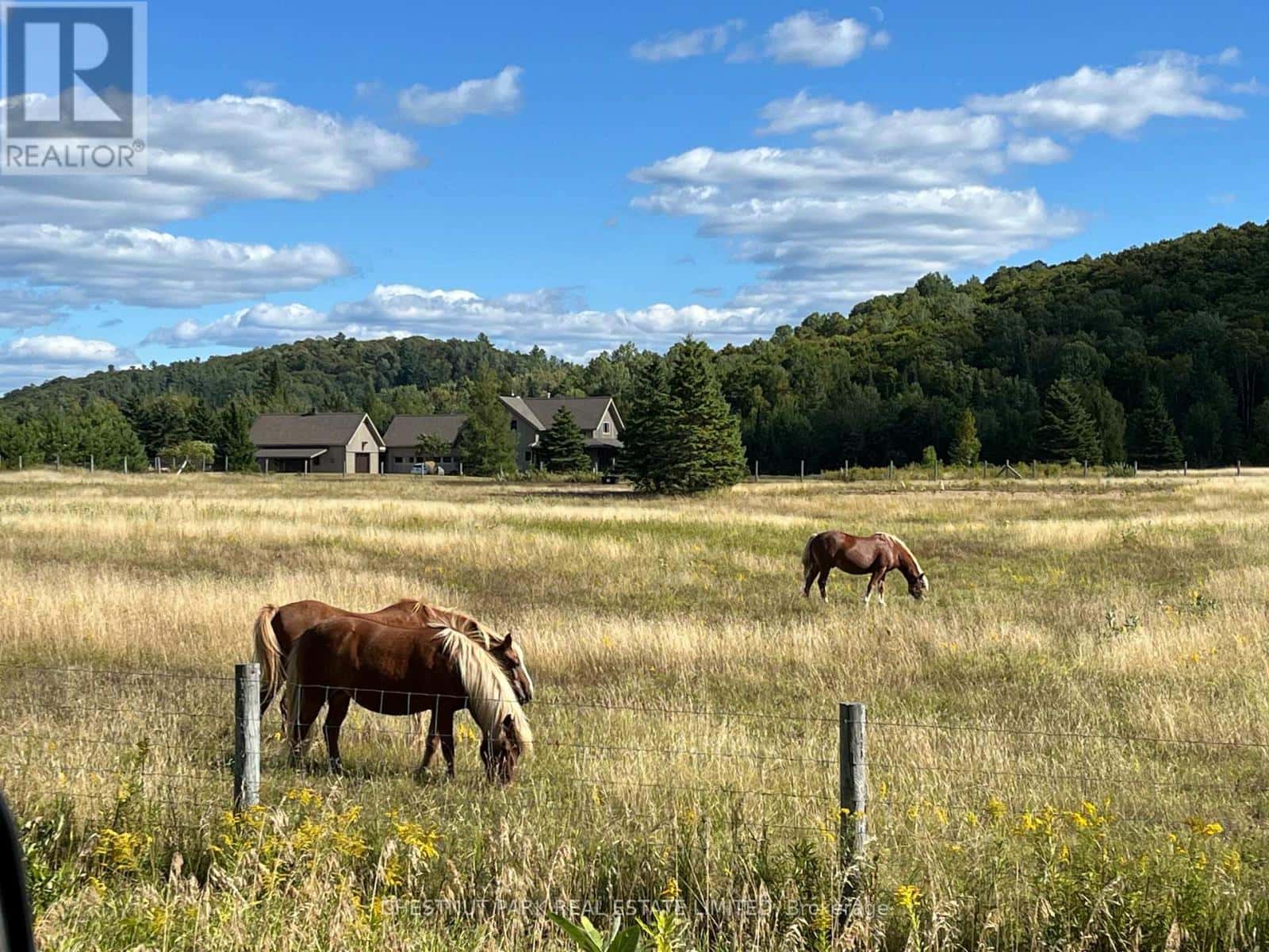 , Bancroft (Dungannon Ward), Ontario — Bancroft (Dungannon Ward), Ontario - Photo 3 of 100