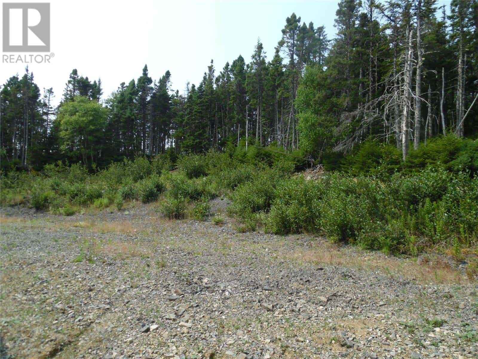 , Hillview, Newfoundland & Labrador — Hillview, Newfoundland & Labrador - Photo 5 of 9