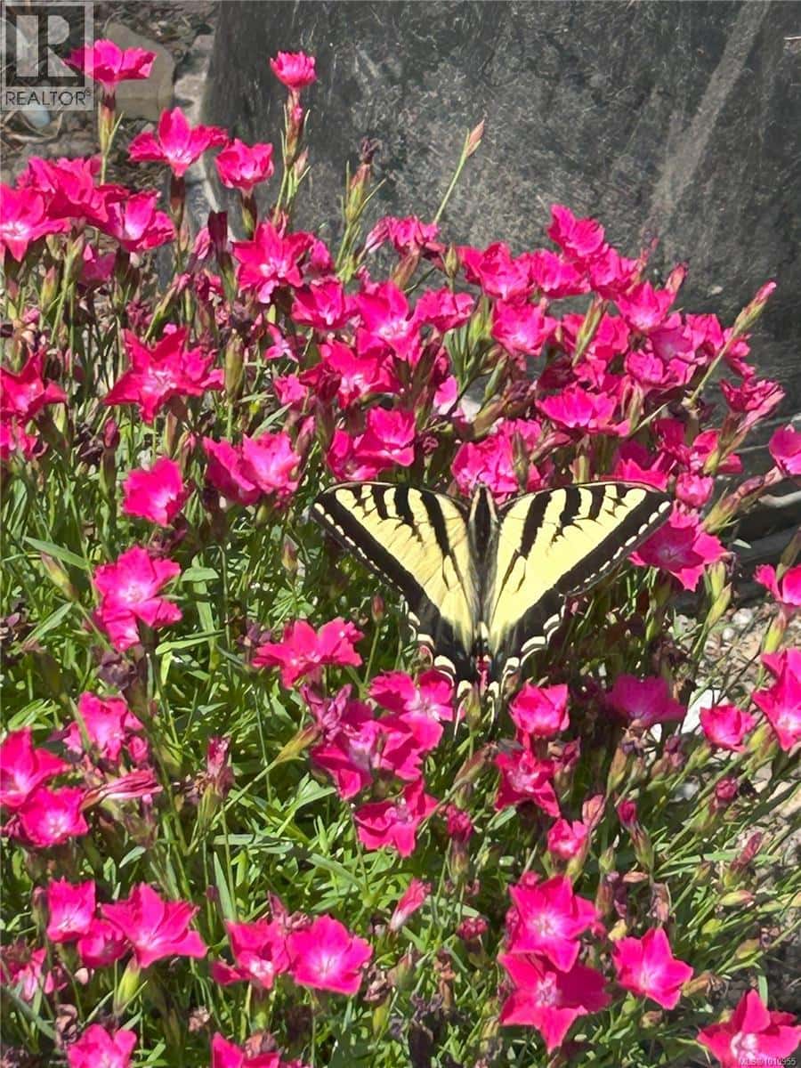 , Pender Island, British Columbia — Pender Island, British Columbia - Photo 4 of 63