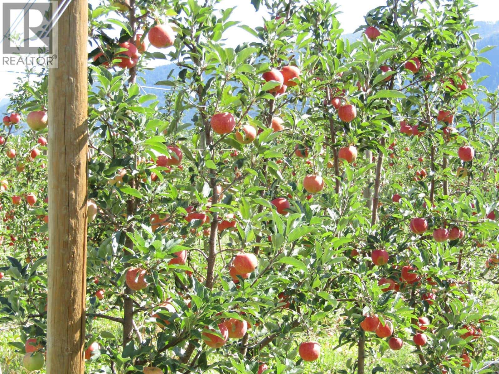 2705 75th Avenue — Grand Forks, British Columbia - Photo 2 of 79