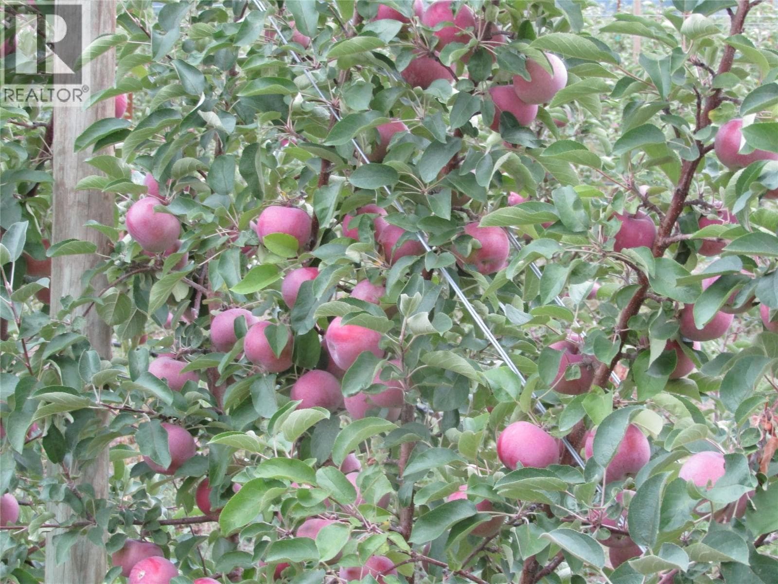 2705 75th Avenue — Grand Forks, British Columbia - Main photo