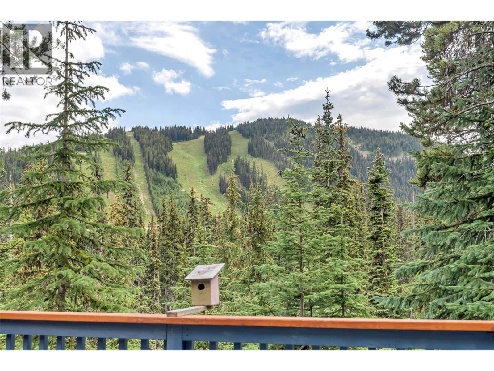 , Apex Mountain, — Apex Mountain - Photo 4 of 114