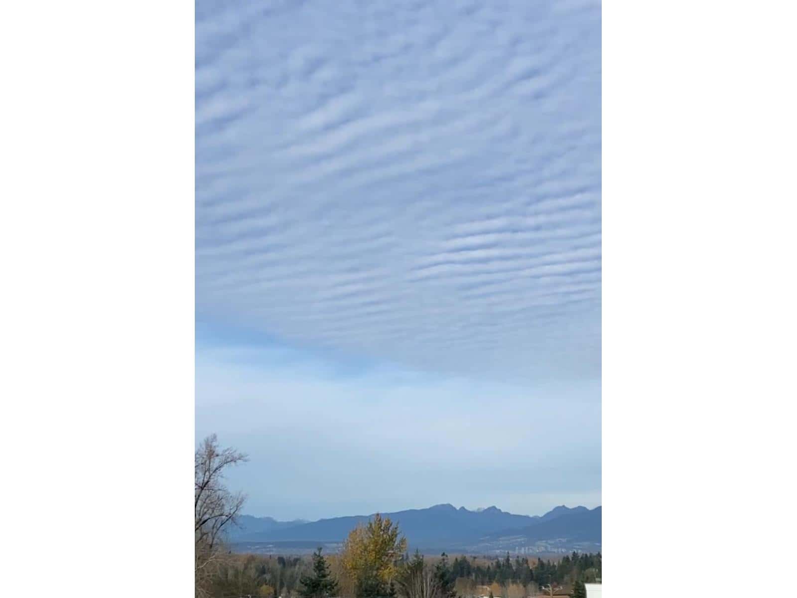 , Langley, — Langley - Photo 5 of 5