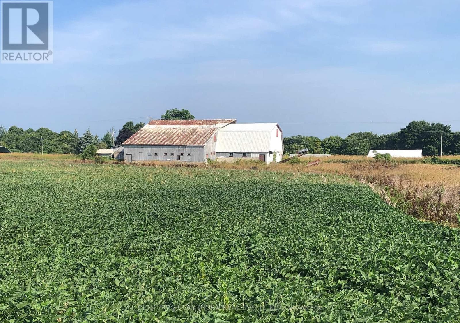 1546 COUNTY ROAD 7 ROAD W — Prince Edward County (North Marysburg Ward), Ontario - Main photo