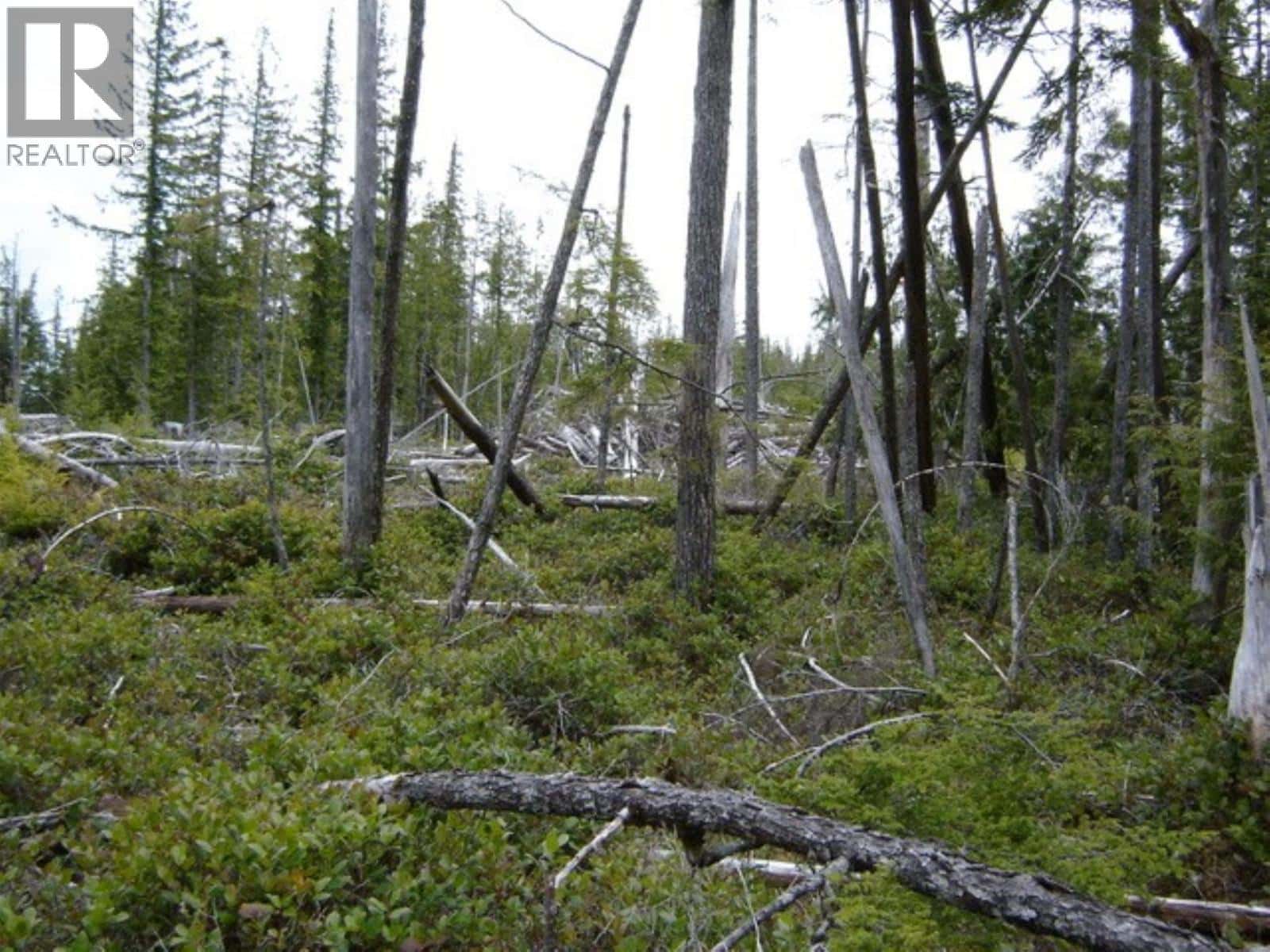 , Daajing Giids Rural, — Daajing Giids Rural - Photo 4 of 11