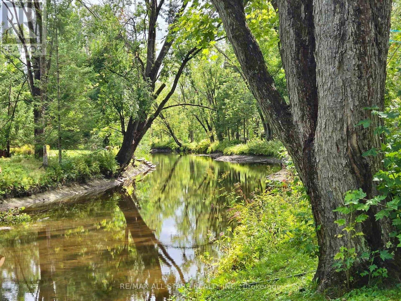 , Trent Lakes, Ontario — Trent Lakes, Ontario - Photo 4 of 30