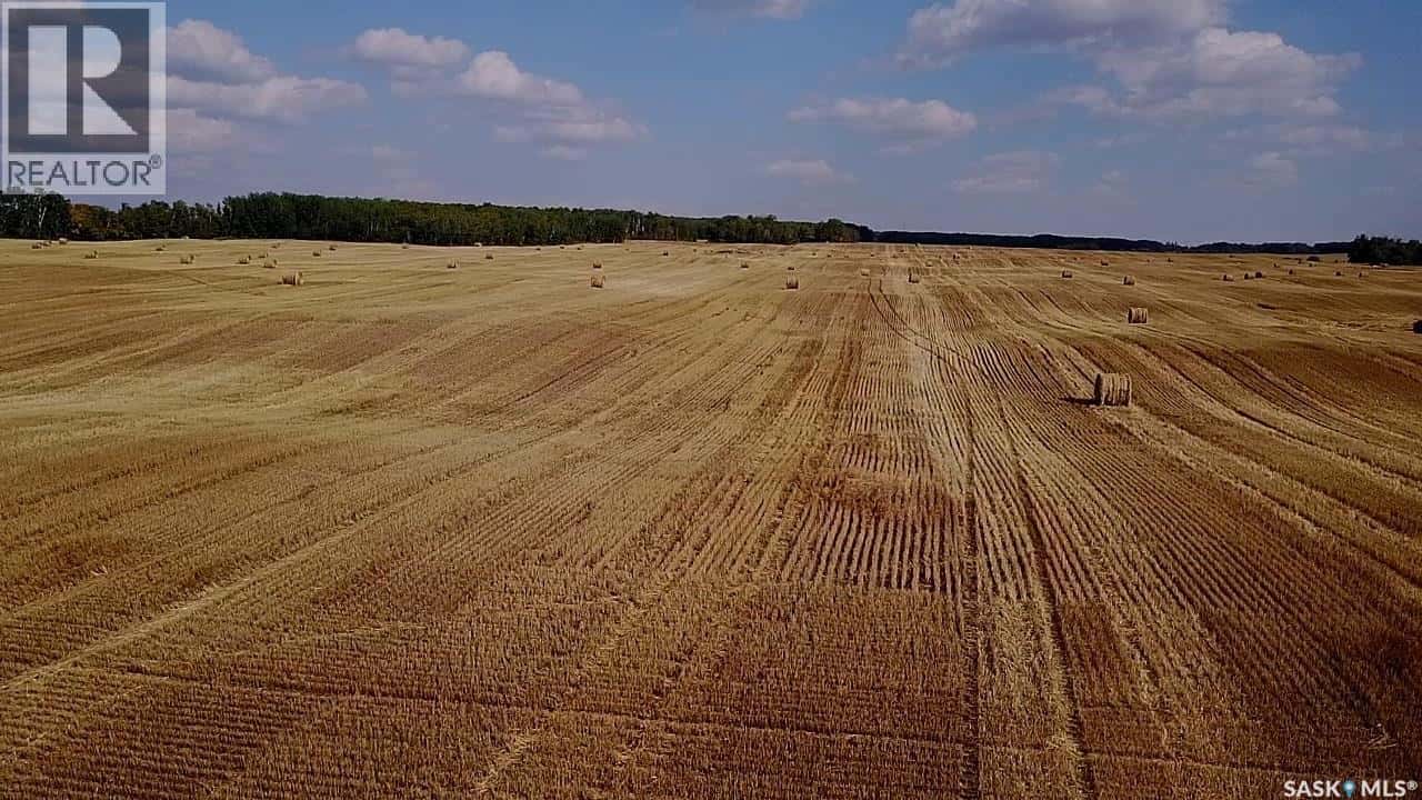 MILLS FARM LAND — Preeceville Rm No. 334, Saskatchewan - Photo 5 of 50