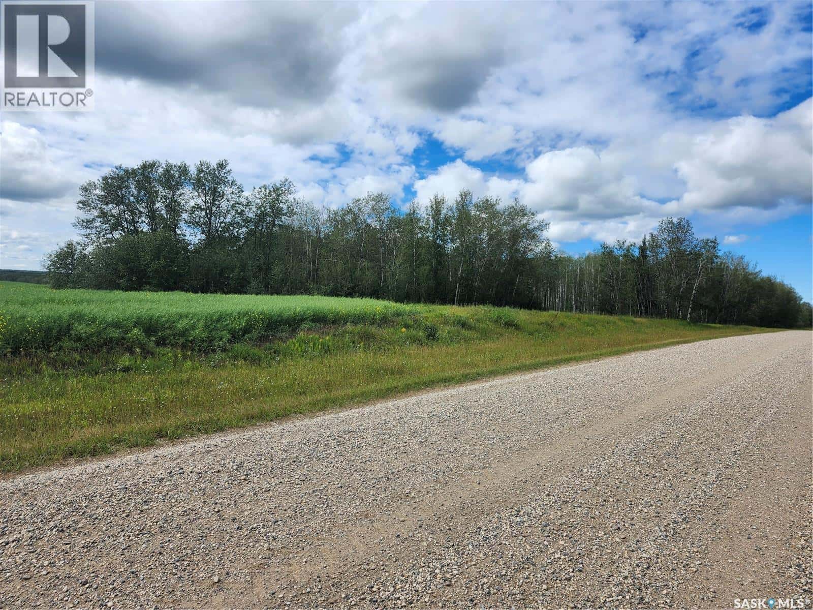 MILLS FARM LAND — Preeceville Rm No. 334, Saskatchewan - Photo 4 of 50