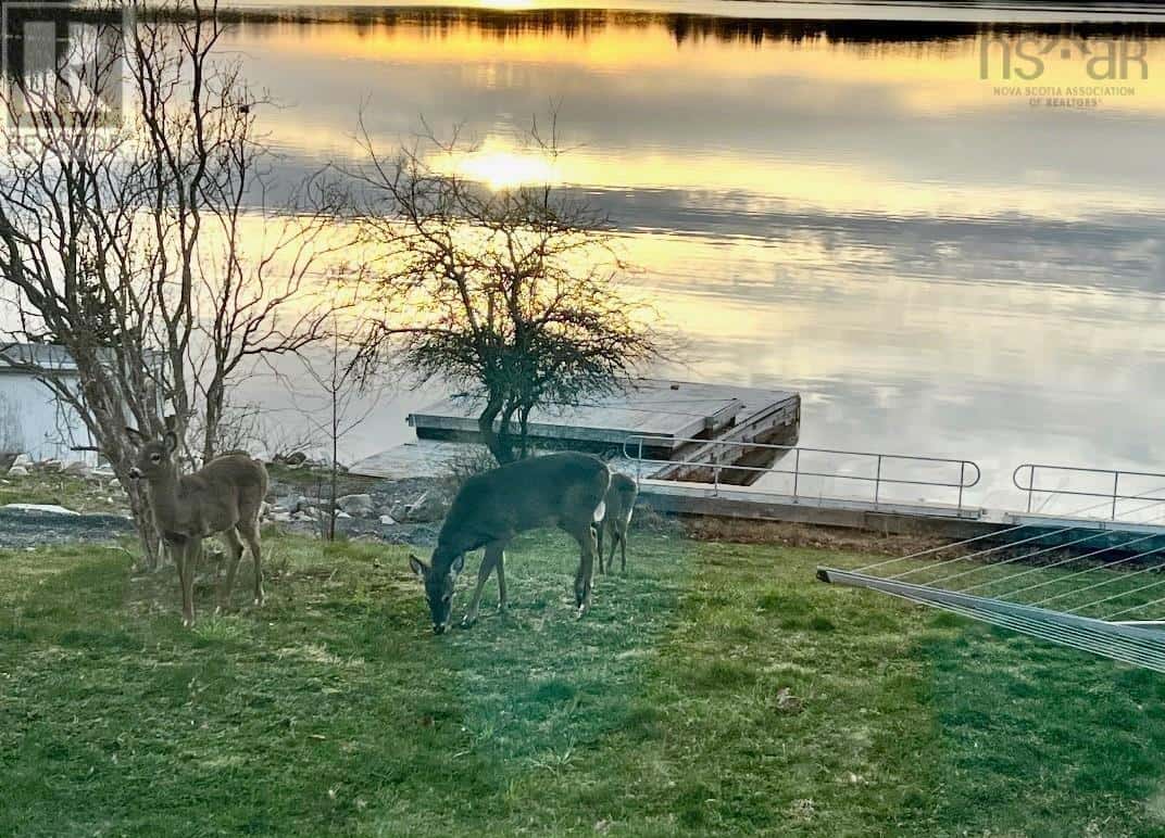 , Head Of St. Margarets Bay, Nova Scotia — Head Of St. Margarets Bay, Nova Scotia - Photo 4 of 49