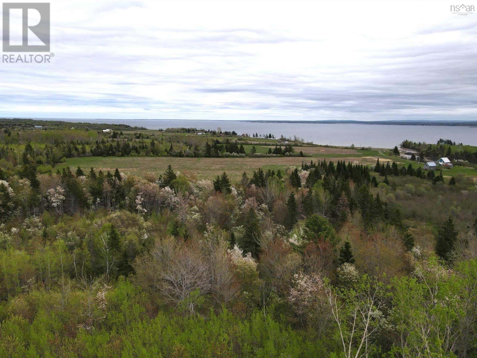 148 Blue Sea Road — Malagash Centre - Photo 3 of 42