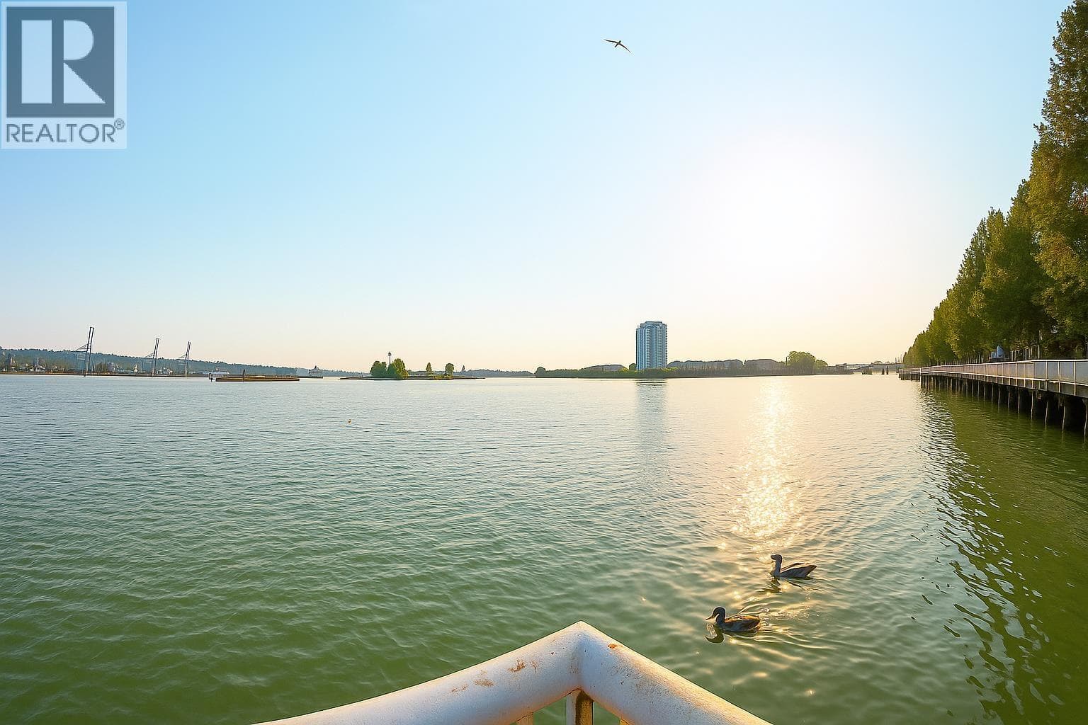 118 12 K DE K COURT — New Westminster - Main photo