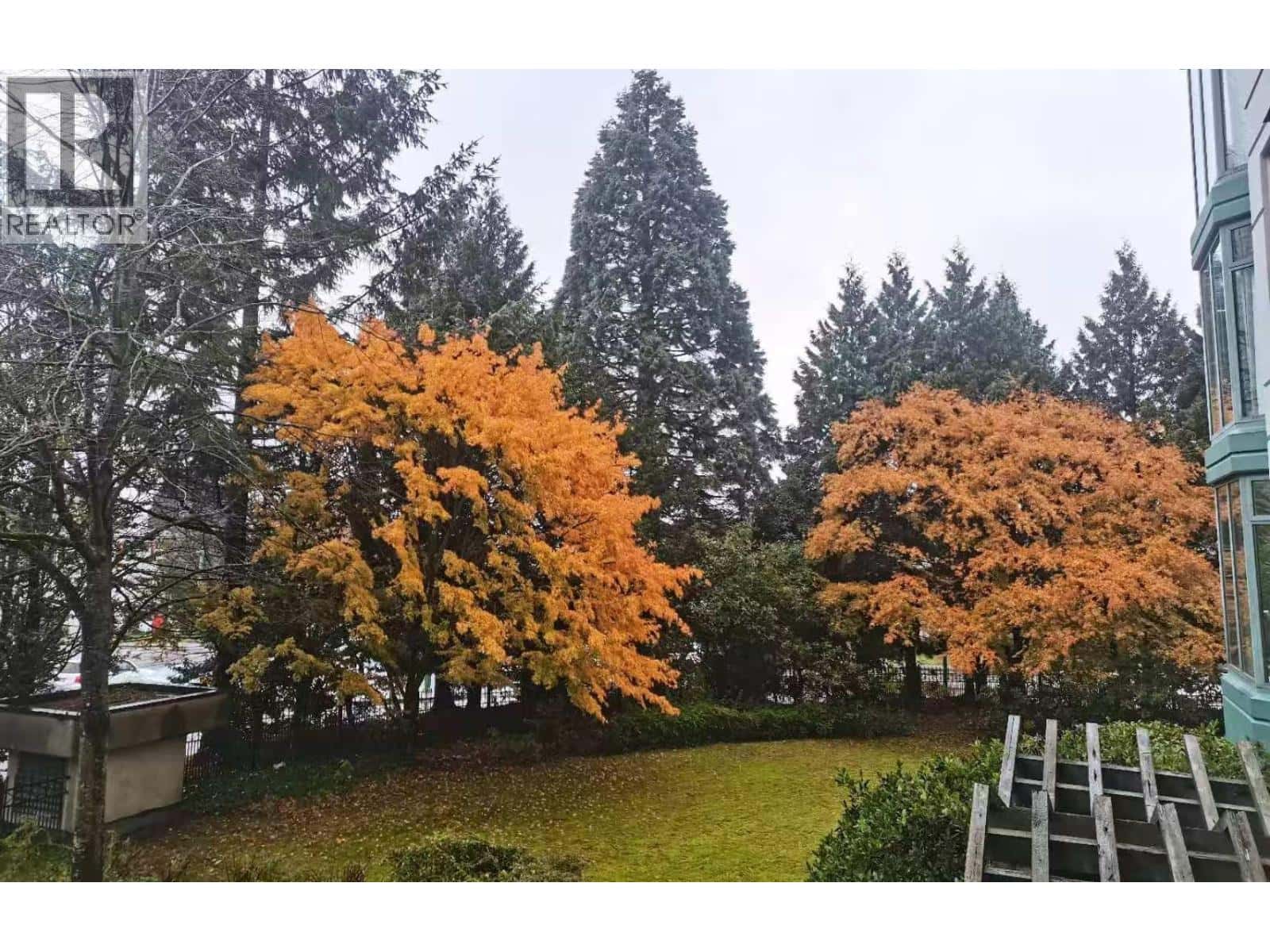 206 4505 HAZEL STREET — Burnaby - Photo 3 of 17