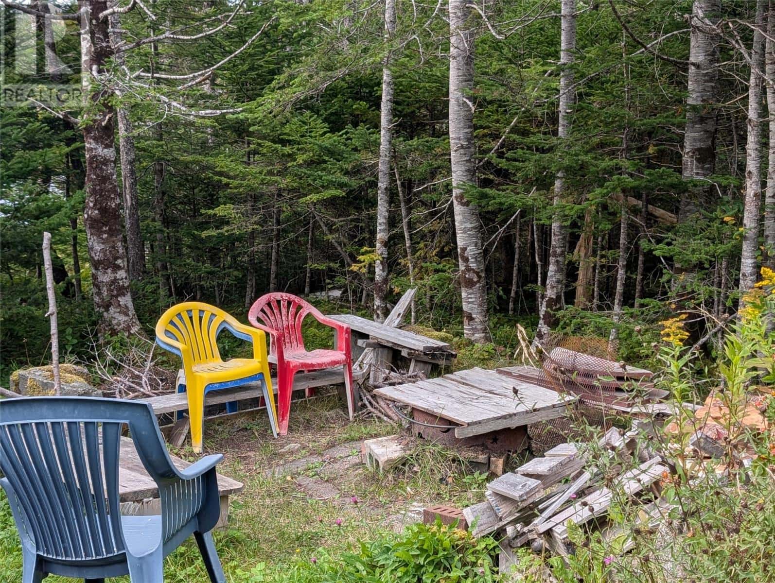 , Salmonier, — Salmonier - Photo 4 of 27