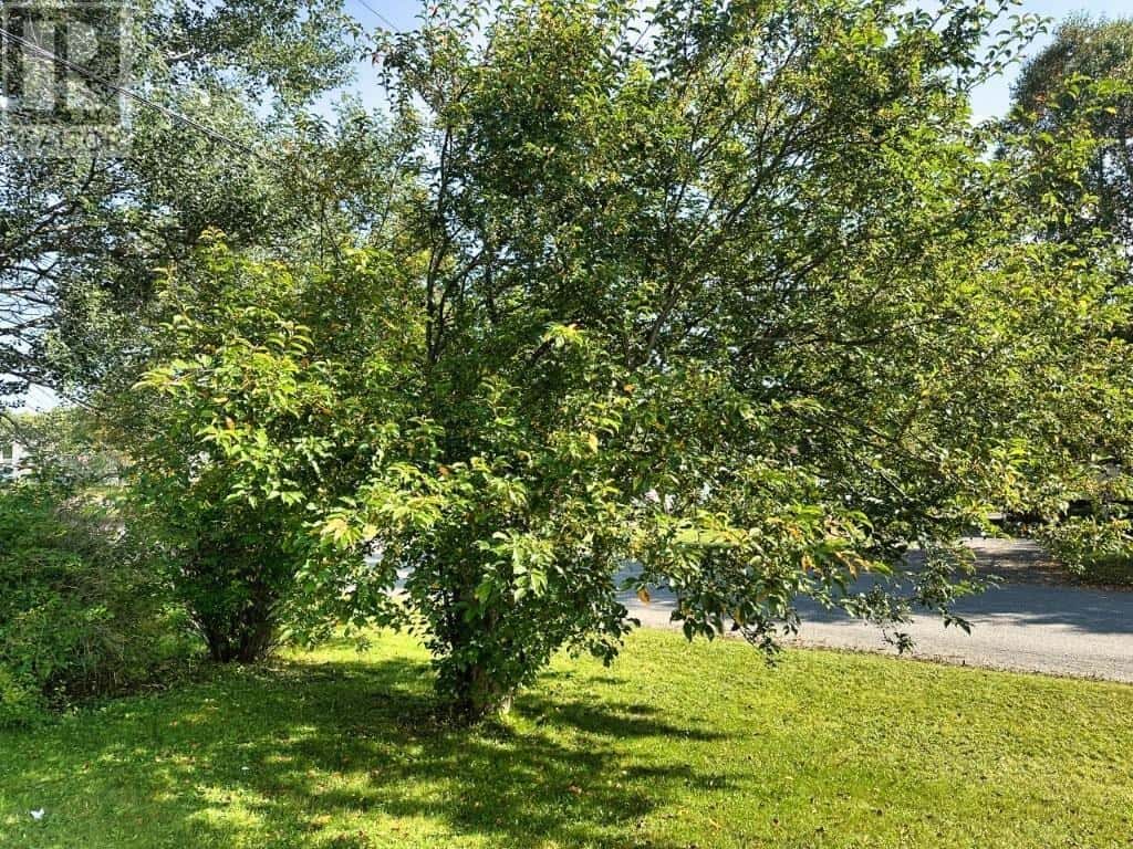 , Terrace Bay, — Terrace Bay - Photo 4 of 100