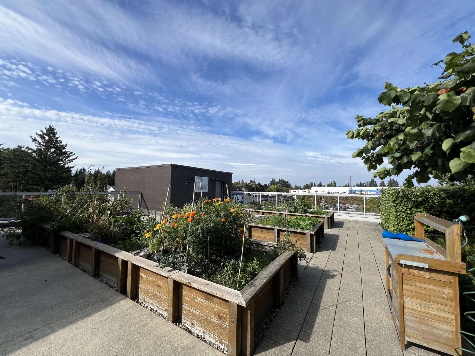 3305 11967 80 AVENUE — Delta - Main photo