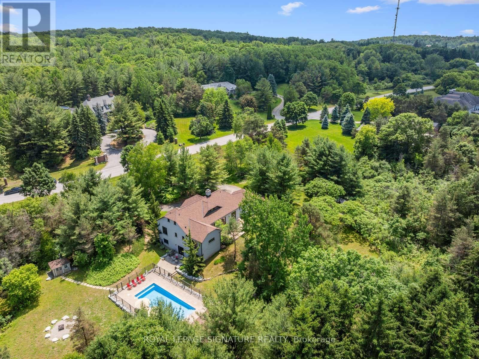 , King, — King - Main photo