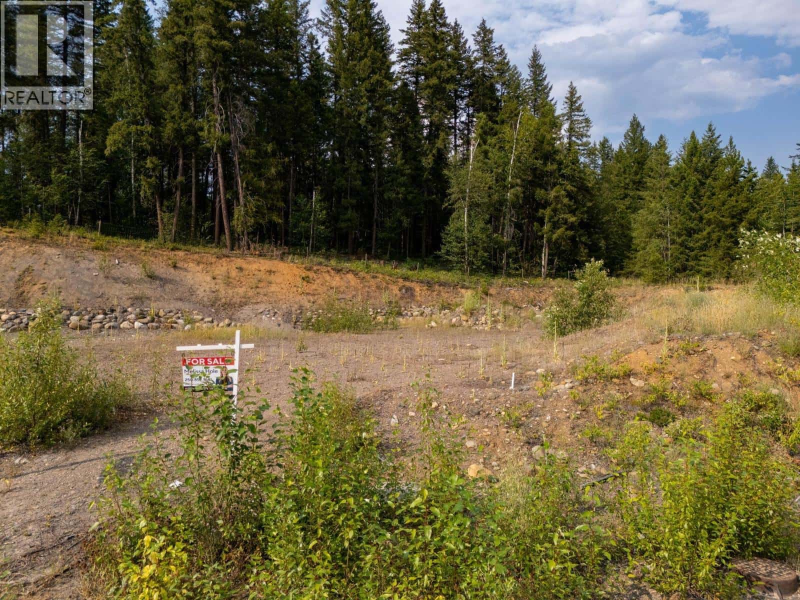 461 LYTTON Crescent — Clearwater, British Columbia - Photo 5 of 25