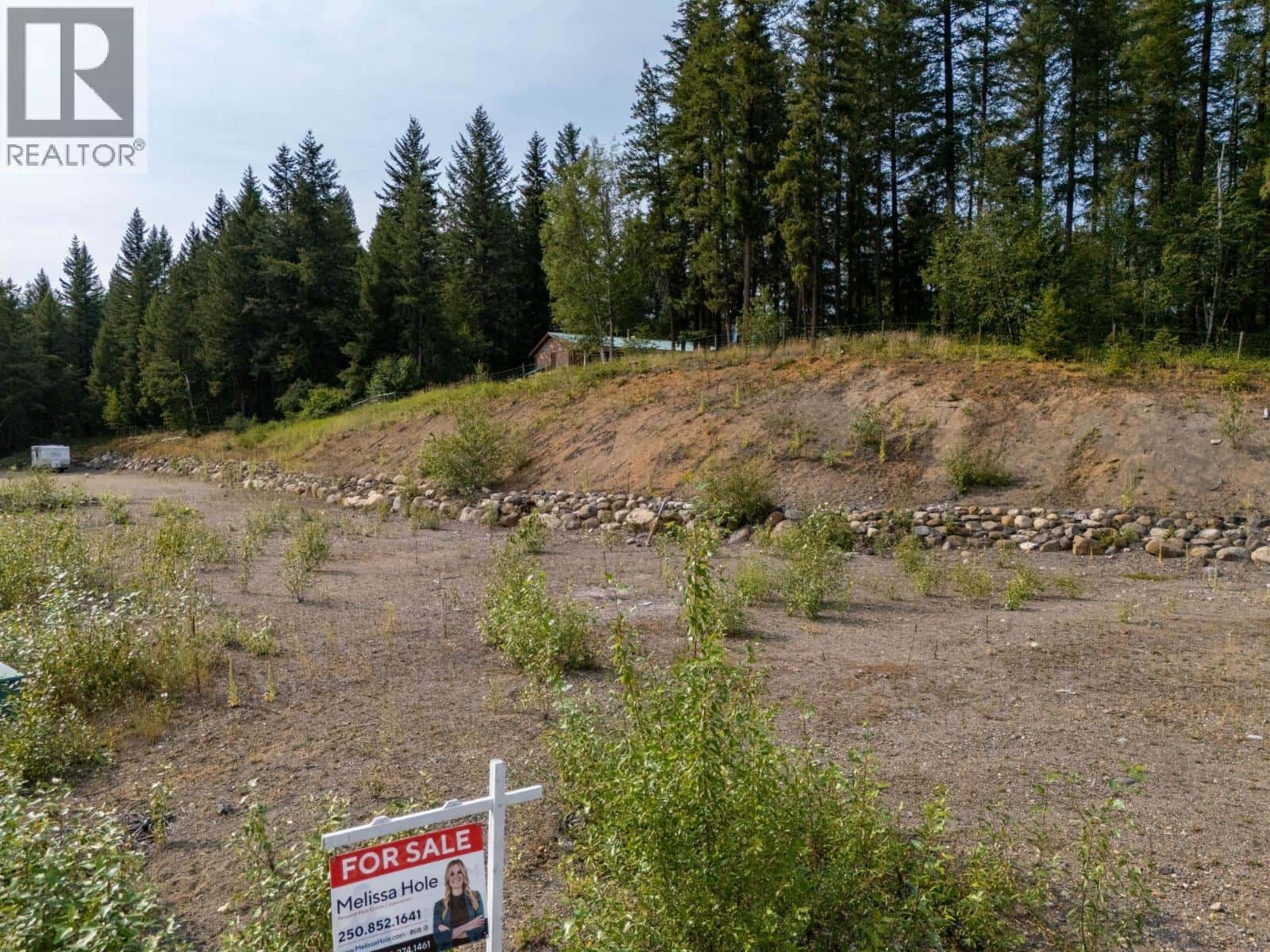 461 LYTTON Crescent — Clearwater, British Columbia - Photo 4 of 25