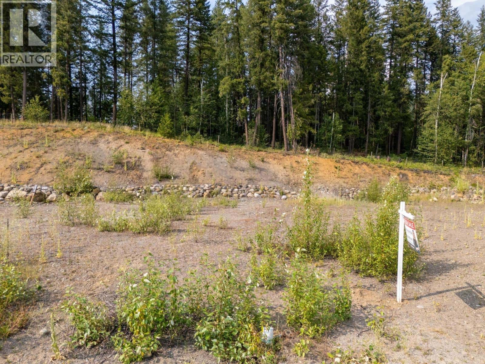 461 LYTTON Crescent — Clearwater, British Columbia - Photo 3 of 25