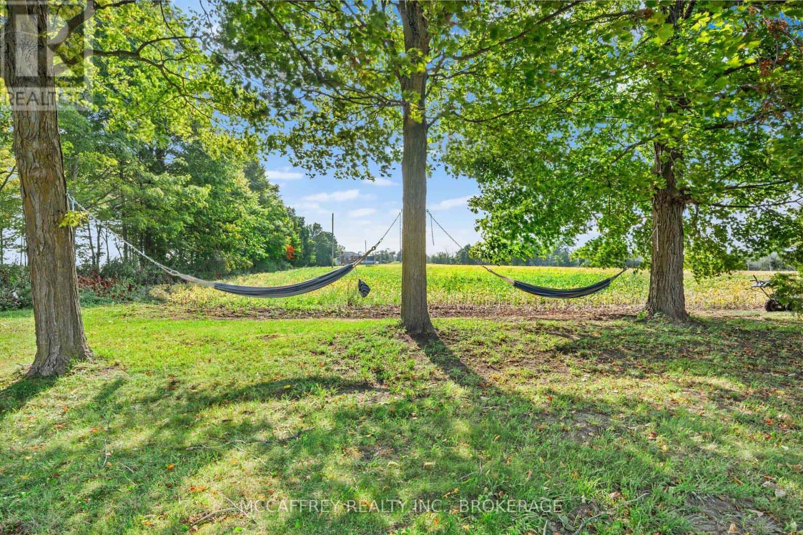 , Loyalist (Lennox and Addington - South), — Loyalist (Lennox and Addington - South) - Photo 4 of 50